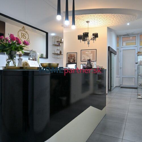 BAJZOVA, nebyt. priestor, 185 m2 – vstup z ulice, klimatizácia, veľkorysá metráž