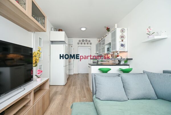 17293 6